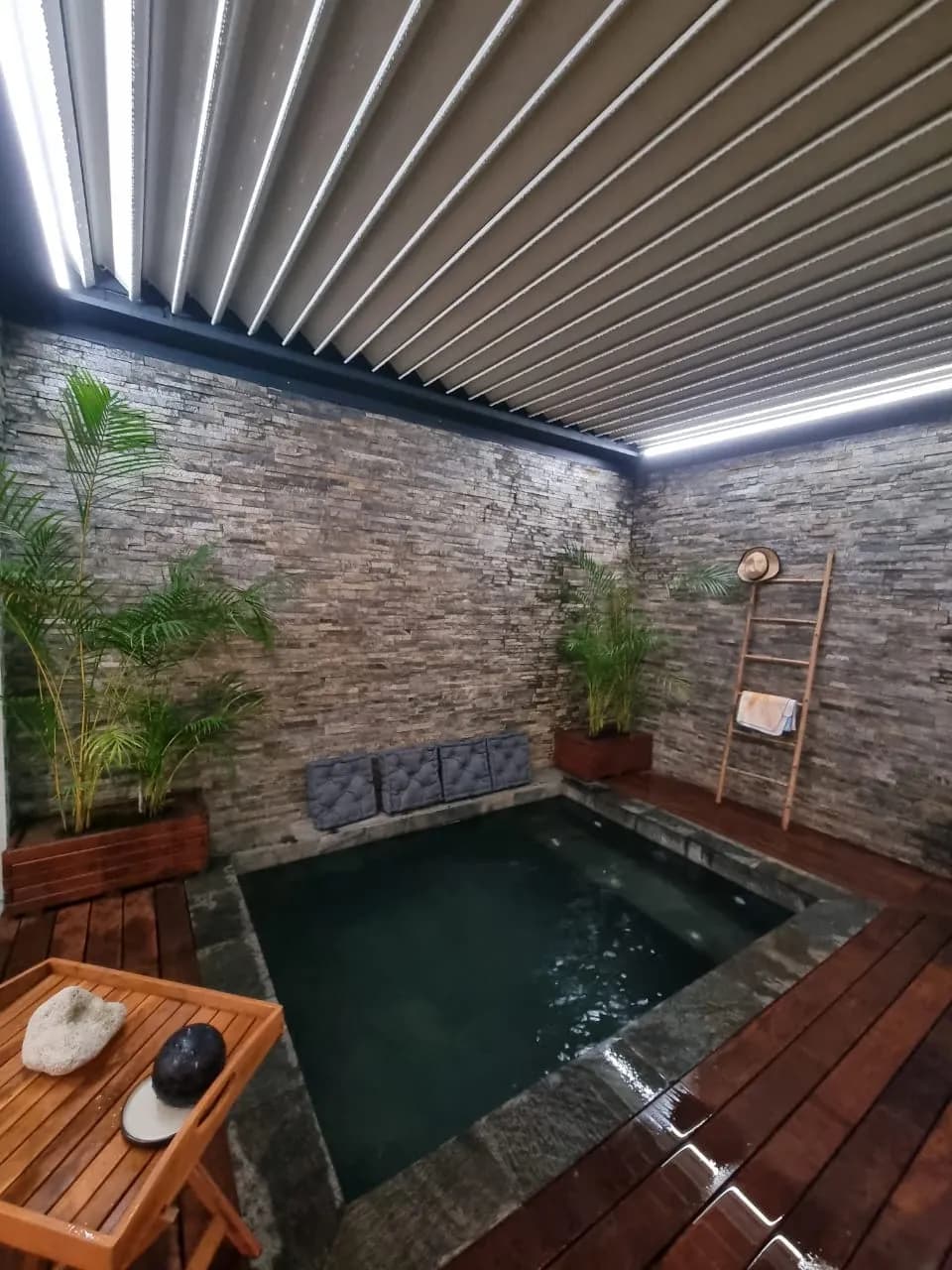Jacuzzi du Lieu de vie