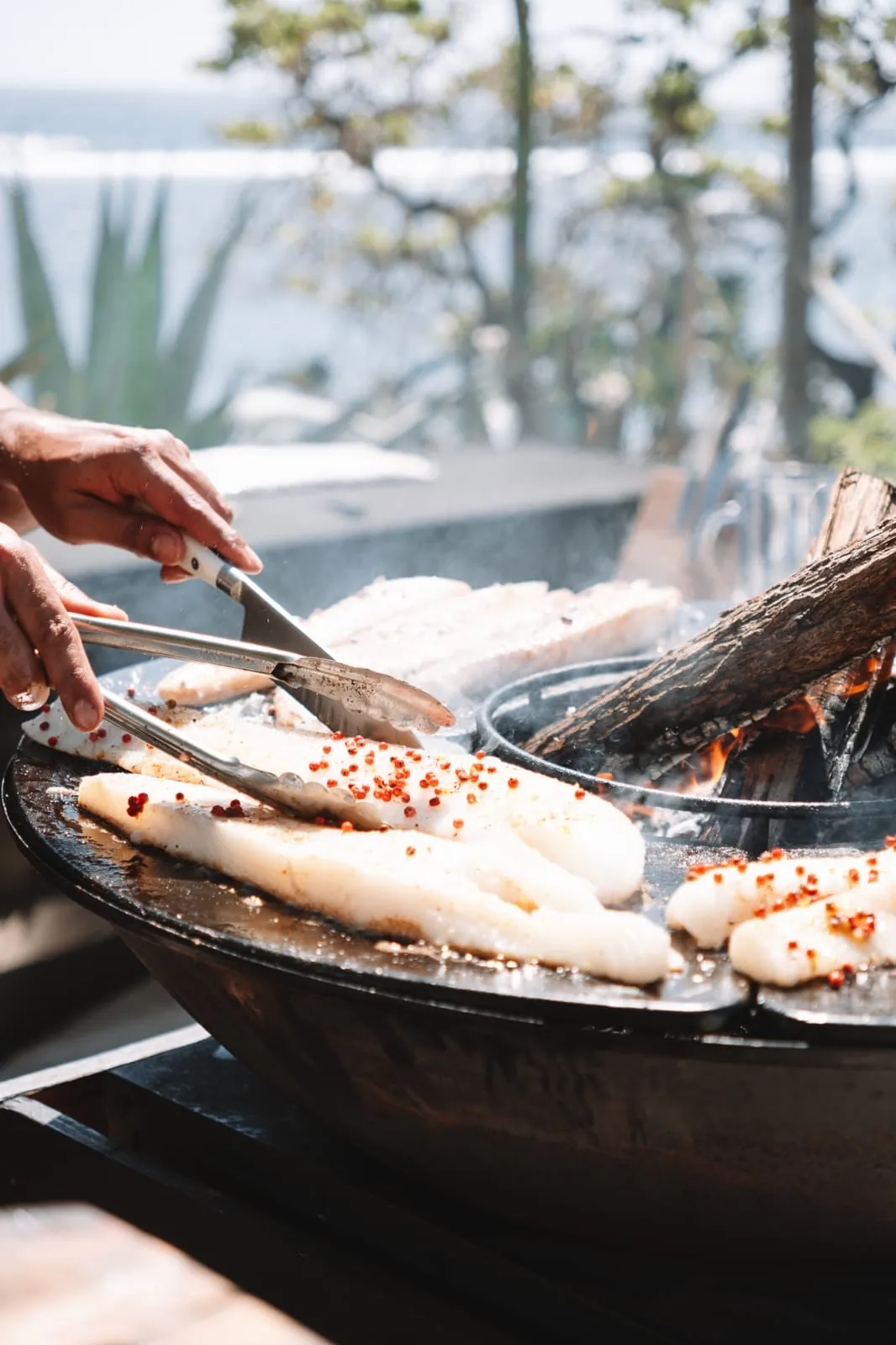 Filets de poisson cuits au brasero avec des baies roses