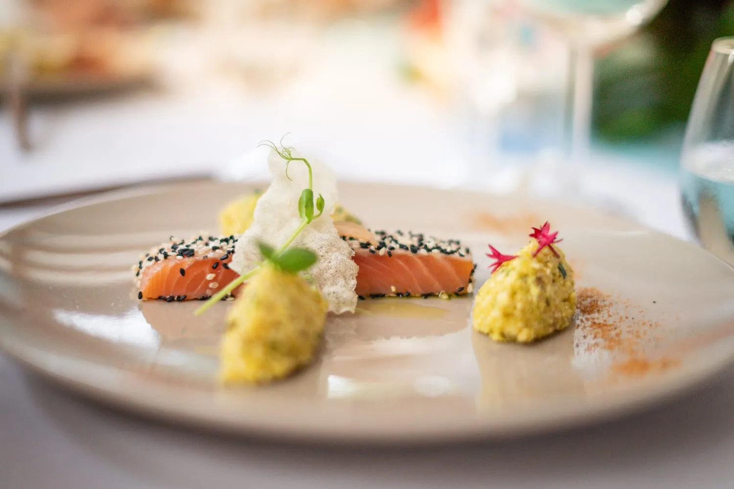 L'Épicure - Dressage